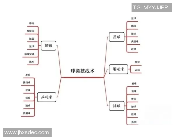 广州篮球队的速度提升与战术变革探讨
